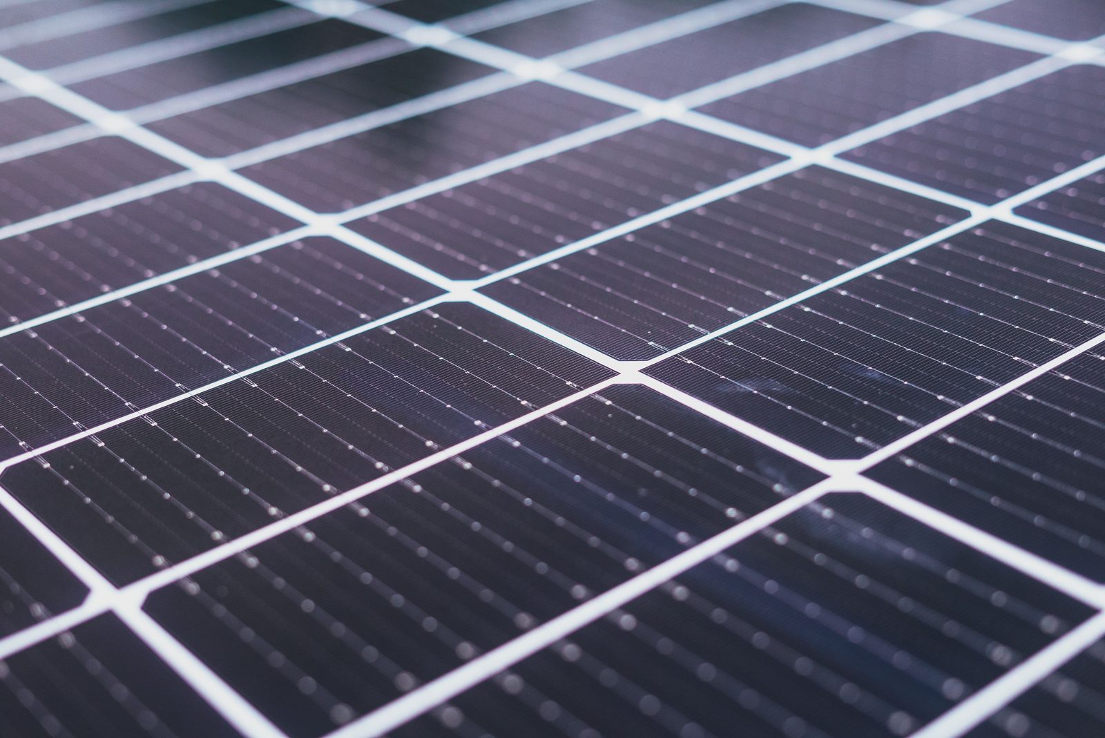 Close de um módulo fotovoltaico, com as células e os barramentos metálicos em perspectiva