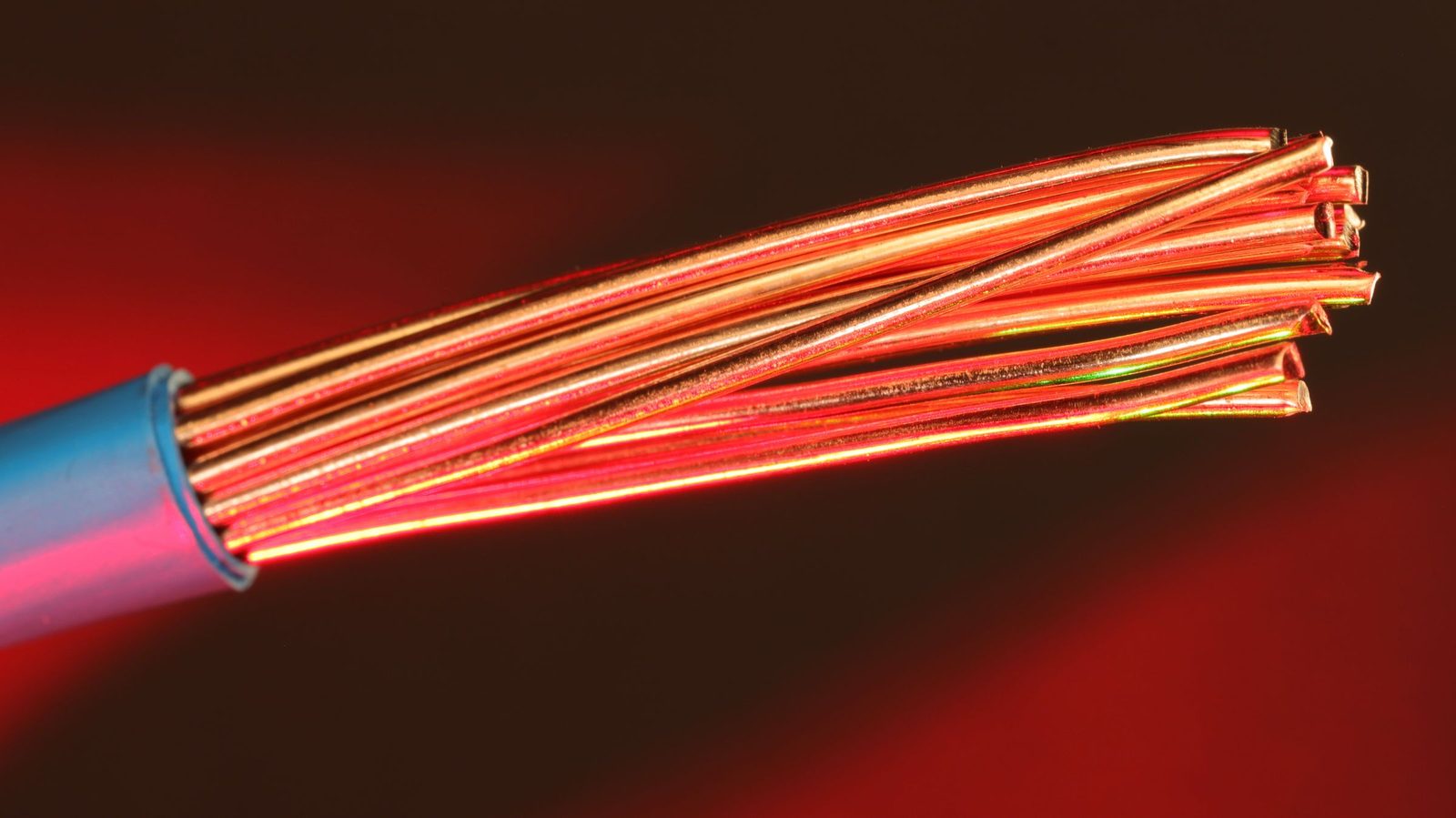 Macro de um cabo elétrico com a isolação azul decapada, mostrando os fios de cobre sob luz avermelhada